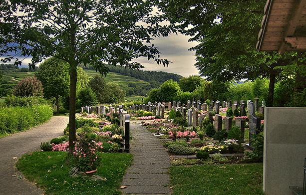 Fleurissement cimetière